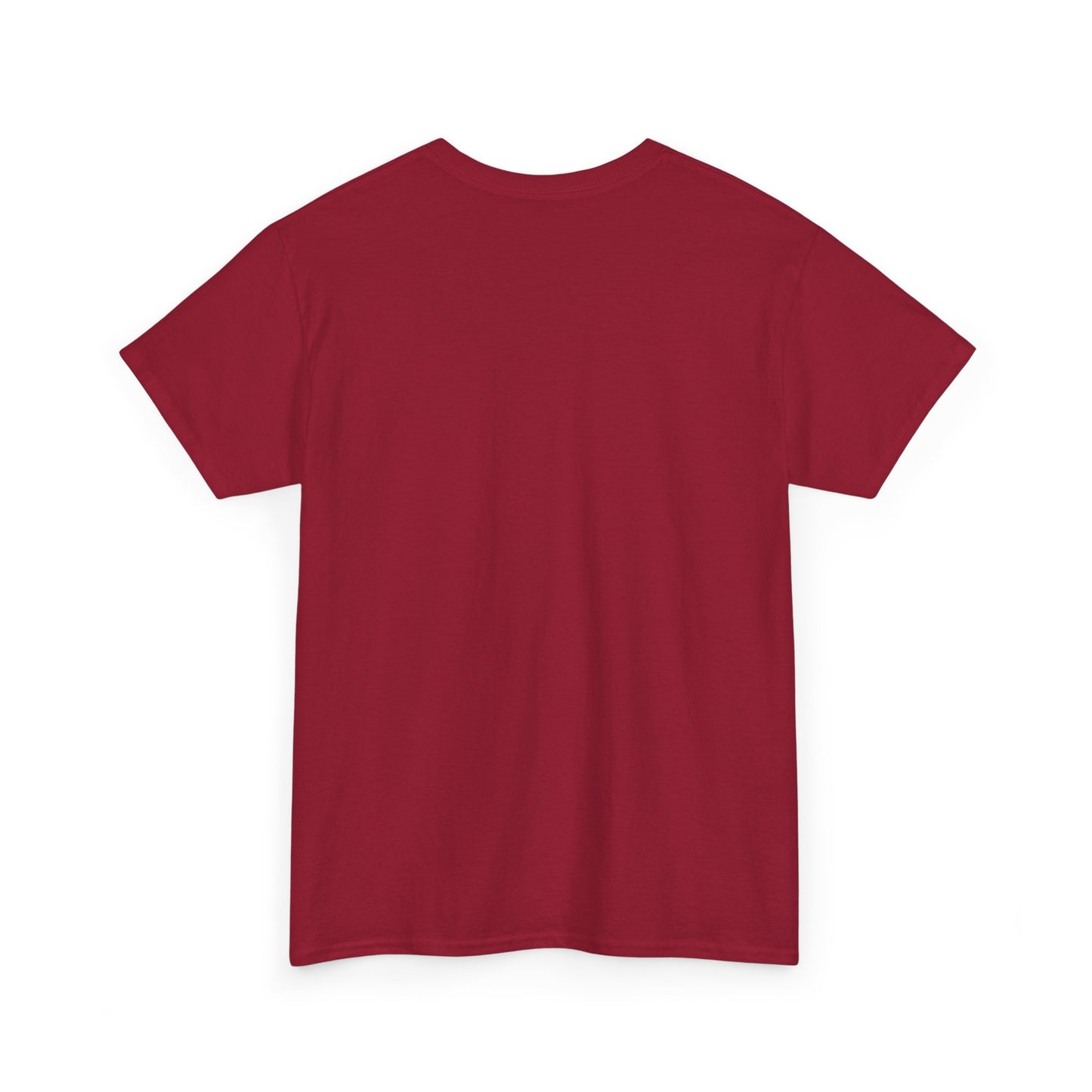 RIDE THE CYCLONE, LOGO, Unisex Heavy Cotton Tee