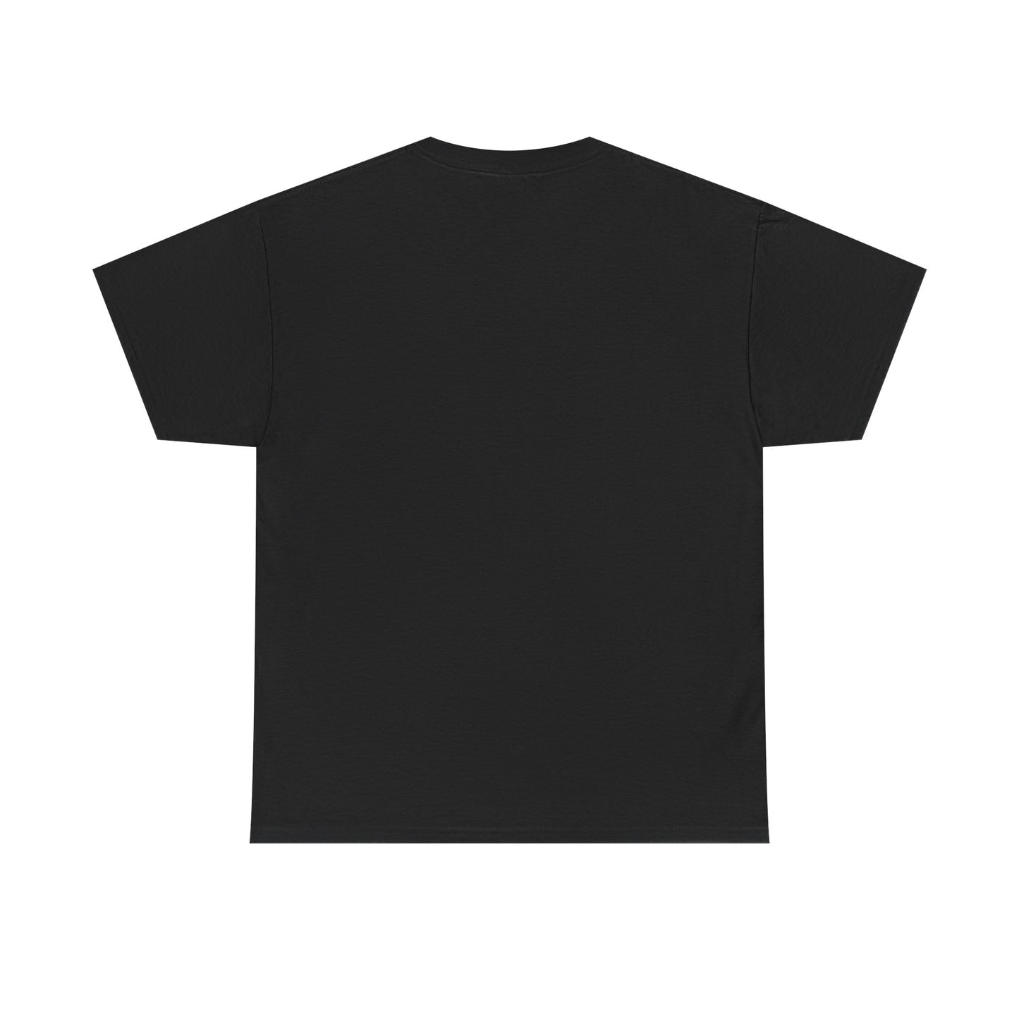 RIDE THE CYCLONE, LOGO, Unisex Heavy Cotton Tee